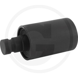 Support roller